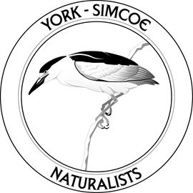 York Simcoe Nature Club