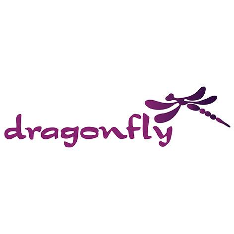 Dragonfly Wellness Retreat