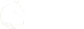 Harmony With Horses